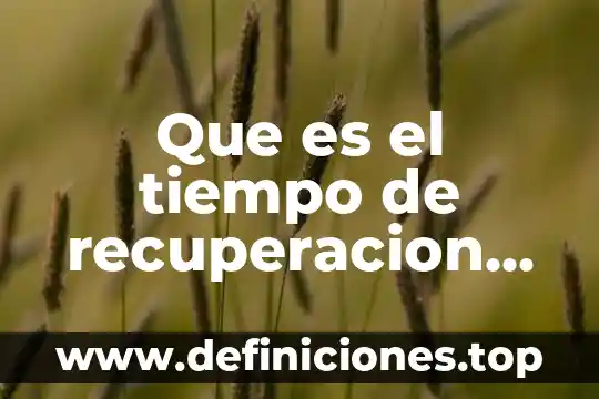 Que es esmero como valor 5 Que es el tiempo de recuperacion simple