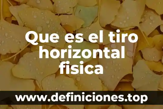 Que es el tiro horizontal fisica