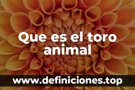 Que es el toro animal