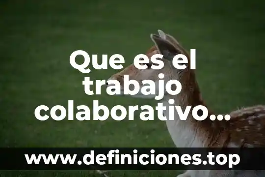 Qué es el trabajo colaborativo dentro de la danza 3 Que es el trabajo colaborativo en el diseño de proyectos