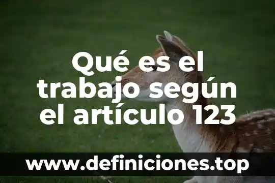 Que es un contribuyente articulo 6 Qué es el trabajo según el artículo 123