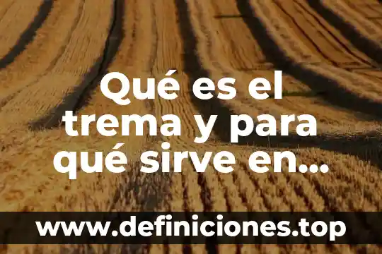 Qué es un guion y para qué sirve 8 Qué es el trema y para qué sirve en proyectos