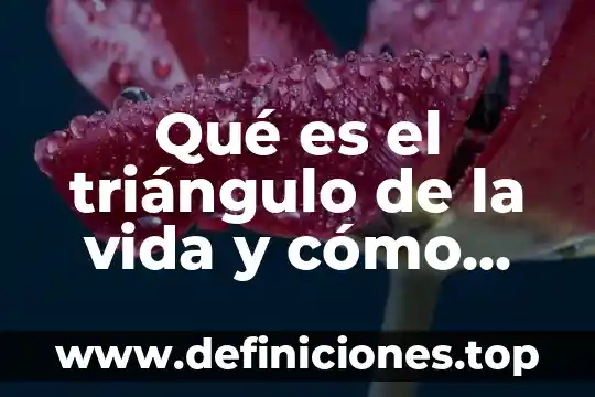 Que es la cosmovision y como funciona 5 Qué es el triángulo de la vida y cómo funciona
