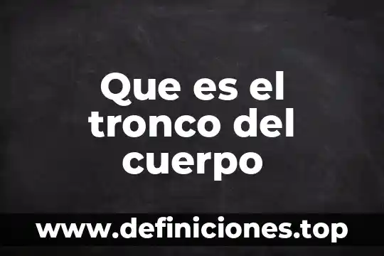 Que es virgen de cuerpo 7 Que es el tronco del cuerpo