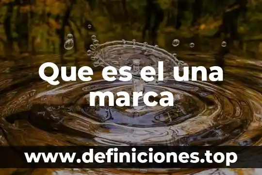 Qué es una marca epigenética 4 Que es el una marca
