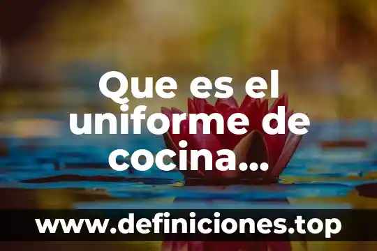 Que es clasificación uniforme de comercio internacional cuci 6 Que es el uniforme de cocina definicion