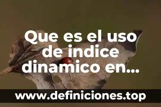 Que es el uso de indice dinamico en word