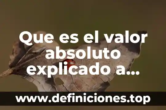 Que es la responsabilidad en valor 7 Que es el valor absoluto explicado a niños