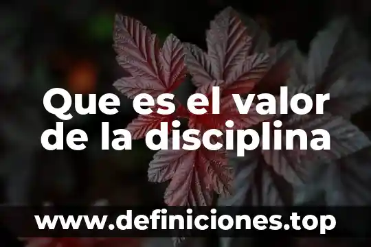 Que es un valor wikipeida 7 Que es el valor de la disciplina