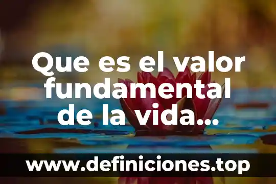 Que es una unidad de medicion fundamental 8 Que es el valor fundamental de la vida humana