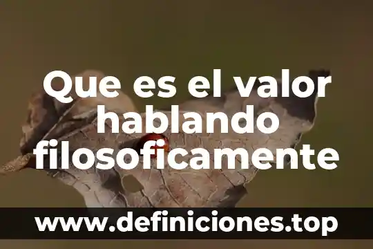 Que es esmero como valor 7 Que es el valor hablando filosoficamente