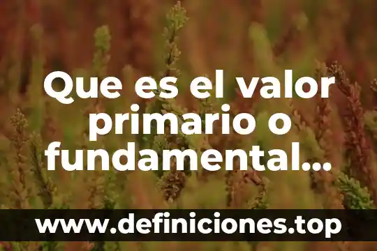 Que es una unidad de medicion fundamental 5 Que es el valor primario o fundamental de la denotación
