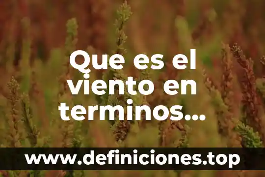 Que es el viento en terminos meteorologicos