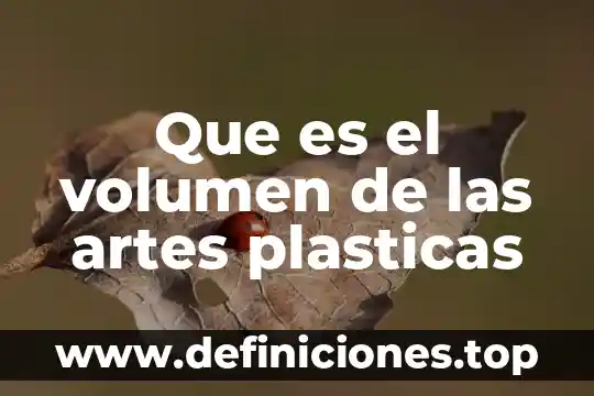 Qué es el volumen efectivo de una cámara 5 Que es el volumen de las artes plasticas