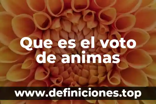 Que es el factoraje financiero diferentes autores 8 Que es el voto de animas