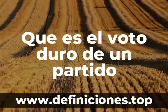 Que es dar formato a un disco duro 4 Que es el voto duro de un partido