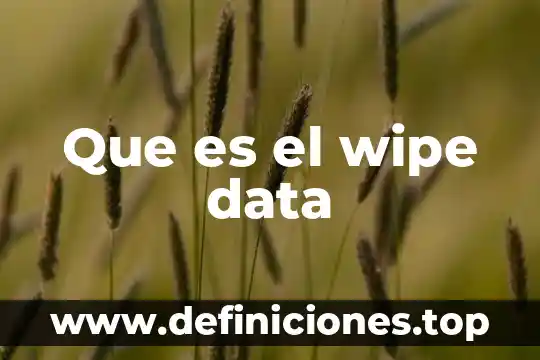 Data format que es 3 Que es el wipe data