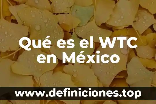 Que es el conaen mexico 4 Qué es el WTC en México