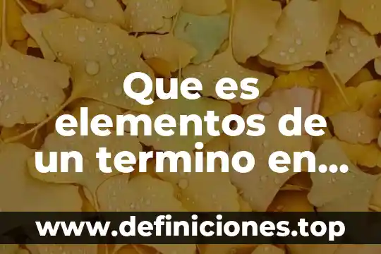 Que es elementos de un termino en matemáticas
