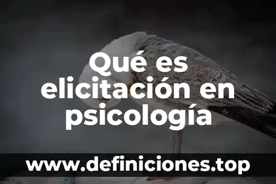 Qué es elicitación en psicología
