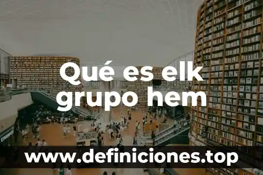 Que es grupo virgin 4 Qué es elk grupo hem