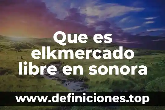 Que es la libre competencia ejemplo 6 Que es elkmercado libre en sonora