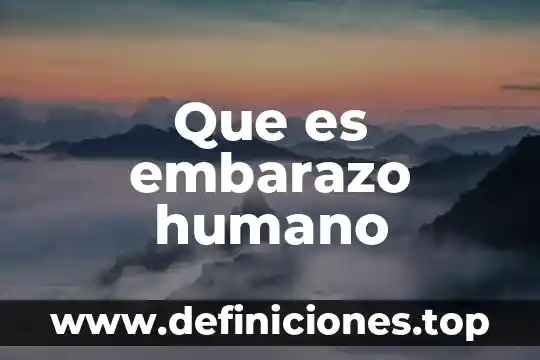 Que es embarazo humano