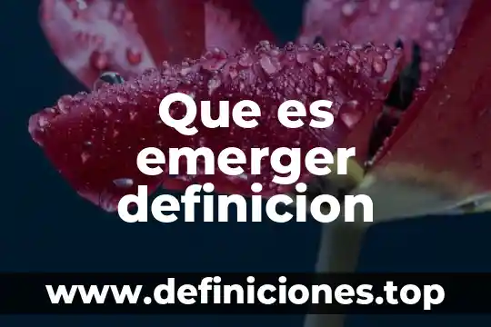 Que es emerger definicion