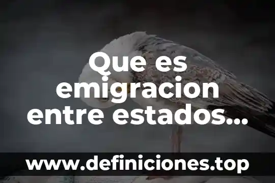 Qué es un hospicio en estados unidos 8 Que es emigracion entre estados unidos y mexico