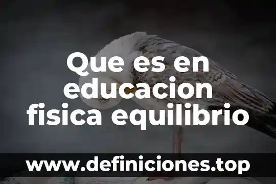 En educacion fisica que es condencioin fisica 4 Que es en educacion fisica equilibrio