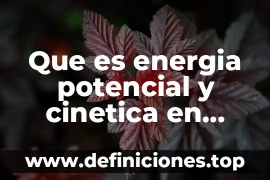 Que es el potencial de carga cero 5 Que es energia potencial y cinetica en fisica