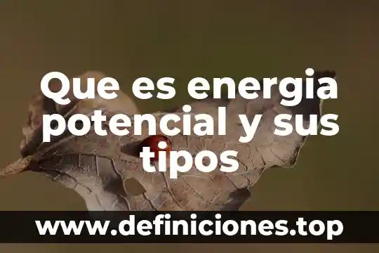 Que es energia potencial y sus tipos