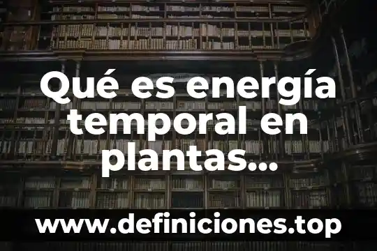 Que es la determinacio de la interacciones electricas 4 Qué es energía temporal en plantas eléctricas