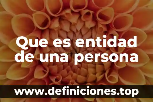 Que es desactivar el chat para una persona 4 Que es entidad de una persona