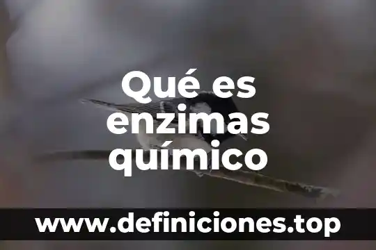 Químico biotecnólogo que es 8 Qué es enzimas químico