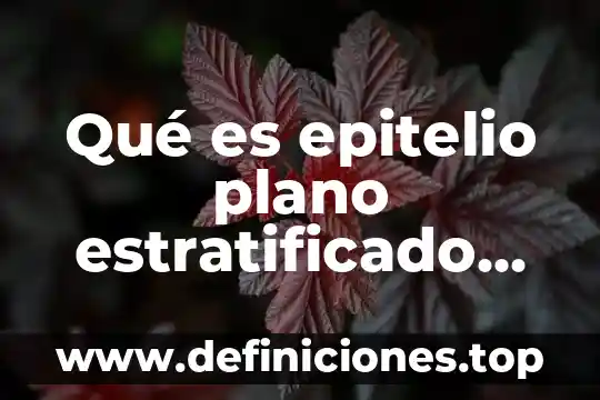 Qué es célula epitelio de la piel 5 Qué es epitelio plano estratificado queratinizado