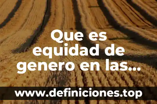 Que es correcto igualdad o equidad de genero 3 Que es equidad de genero en las novelas