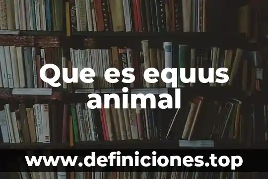 Que es equus animal