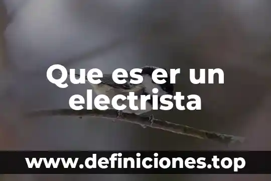 Por que es imortante una estructura 5 Que es er un electrista