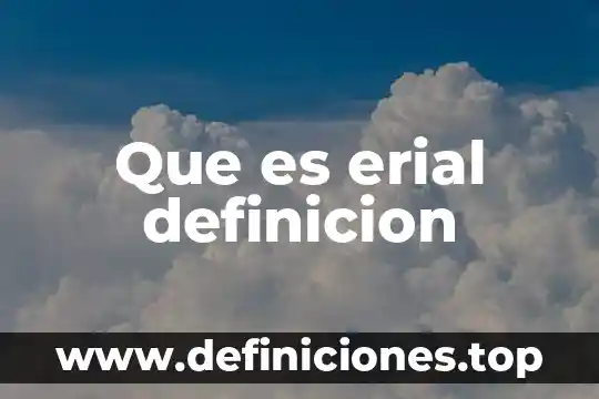 Que es erial definicion