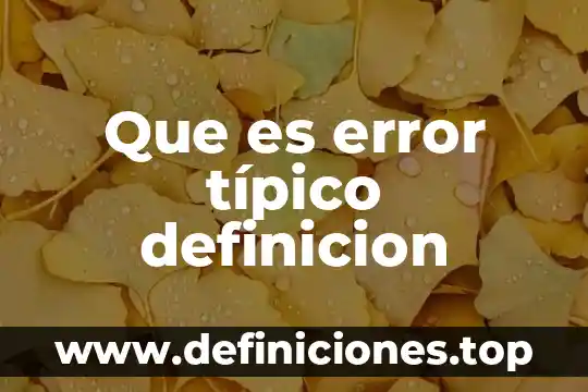 Que es error típico definicion
