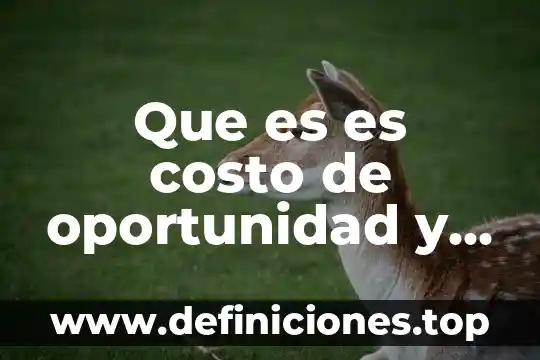 Que es es costo de oportunidad y su importancia