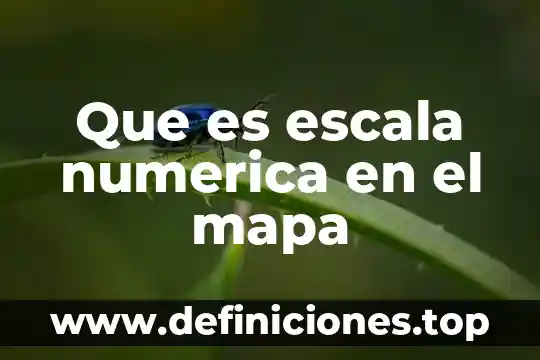 Que es una recta numerica en primaria 8 Que es escala numerica en el mapa