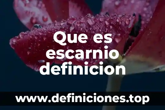 Qué es el universo definición para niños 4 Que es escarnio definicion