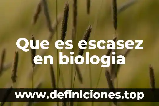 Qué es el escasez del agua en México ONU 8 Que es escasez en biologia