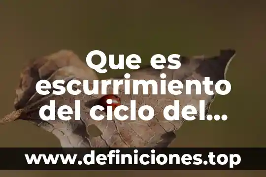 Que es escurrimiento del ciclo del agua