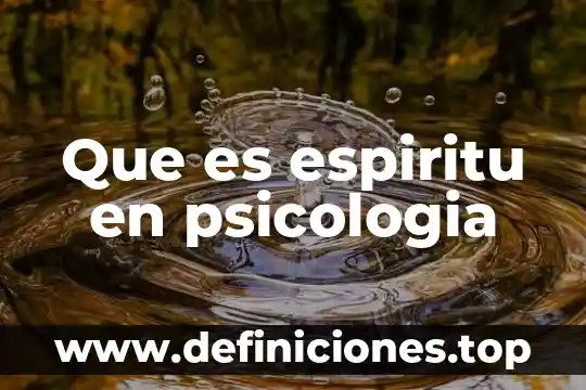 Que es inclusion en psicologia 7 Que es espiritu en psicologia