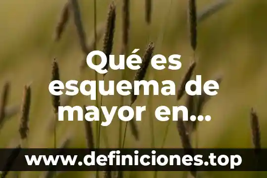 Qué es esquema de mayor en contabilidad concepto