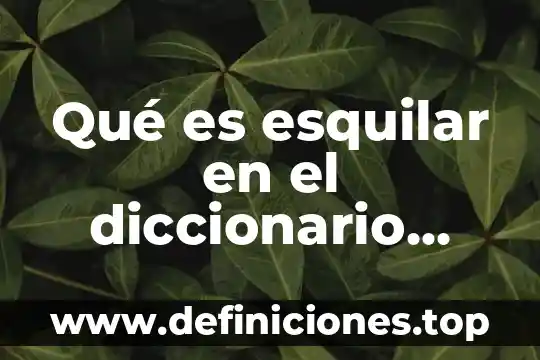Qué es sinagoga diccionario bíblico 6 Qué es esquilar en el diccionario bíblico