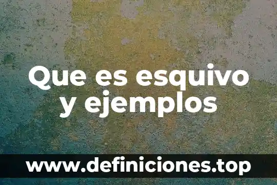 Qué es la duda en filosofía ejemplos 6 Que es esquivo y ejemplos